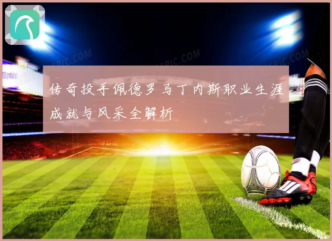 传奇投手佩德罗马丁内斯职业生涯成就与风采全解析